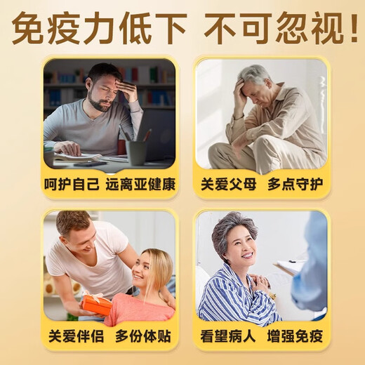 同仁堂破壁灵芝孢子粉增强免疫力探病礼物滋补营养品端午节礼物60g/盒