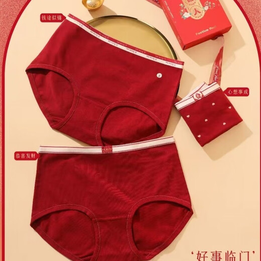 富妮来富妮来新款女士莫代尔棉安可拉红中腰内裤1047 安可拉红 3条 L 中版 L   90-120斤