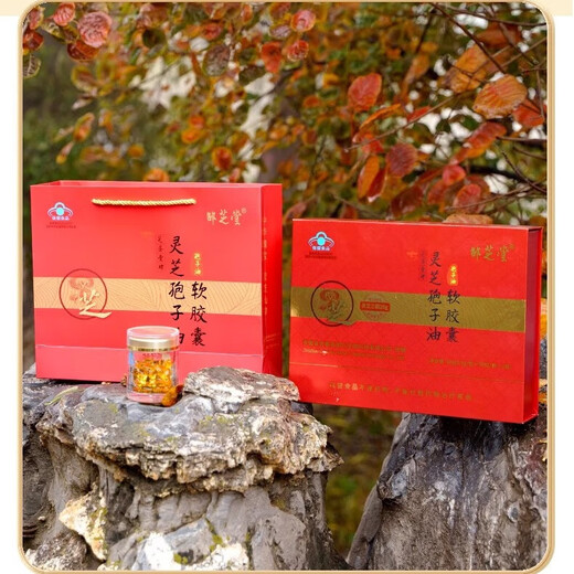 
Shao Zhitang Anhui Jinzhai Ganoderma lucidum spore oil soft capsule 100 capsules gift box spore powder extract Ganoderma lucidum high triterpenes 28% 50 capsules * 2 bottles (gift box) Approval content 28% total triterpenes