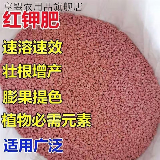 Potash fertilizer wholesale Russian imported high potassium efficient fertilizer general instant fertilizer for agricultural flowers, fruit trees and vegetables red granular potassium fertilizer 10Jin Jin equal to 0.5kg packed Russian imported red potassium (subcontracted)