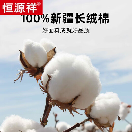 Hengyuanxiang 100% чистый хлопок без гладкой мужской рубашки весенняя голубая голубая стадия Деловая нынешняя повседневная и пожилая рубашка Рабочая одея