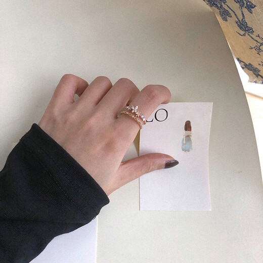 Dai Yan's 2025 new ring, small, fresh, fashionable and personalized open ring, adjustable niche design index finger ring gift, double-layered flower ring in one package