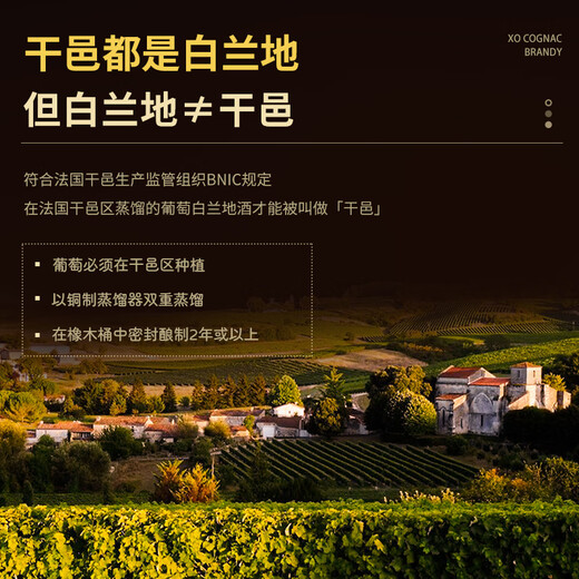 派斯顿法国进口洋酒白兰地XO 40°烈酒 秘密 原酒进口 礼盒展示送礼酒 柏纳佳帝干邑 700mL 1瓶