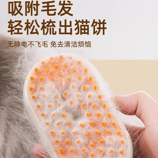 Pet cat and dog spray massage comb steam comb brush cat hair cleaner remove floating hair no-bath cat comb milk coffee rechargeable + lickable no-wash essence