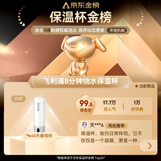 Philips (PHILIPS) Water Boiling Cup Thermos Portable Water Boiling Cup Travel Electric Heated Water Cup Kettle Practical Gift for Men and Women