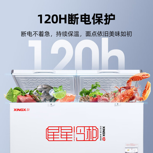 星星（XINGX）冰柜商用大容量商用一级能效518升528GE冷柜卧式冷藏冷冻转换卧保鲜冷柜雪糕店超市餐饮店 【中梁除霜】718L商用冷柜728GE