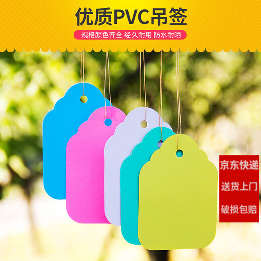 Shipton 100 pieces of PVC color plastic plant tags for flowers and gardening potted plants small hanging tags for seedlings and succulent tags 4.5x3cm white/100 pieces in a bundle