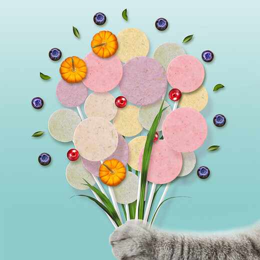 Lonno Chicken Freeze-dried Lollipops Cat Snacks Chicken Sticks Kittens Adult Cats Chicken Breast Teething Sticks Cat Strips Huge Benefit and Satisfaction Lollipops + Fresh Meat + Meat Patties