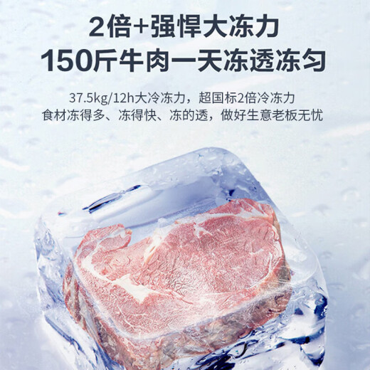 海尔(haier)冰柜418/519/629升商用家用大容量电子控温冷冻柜转换超低温海鲜深冷速冻卧式柜五面制冷 BC/BD-629GHEP 629L