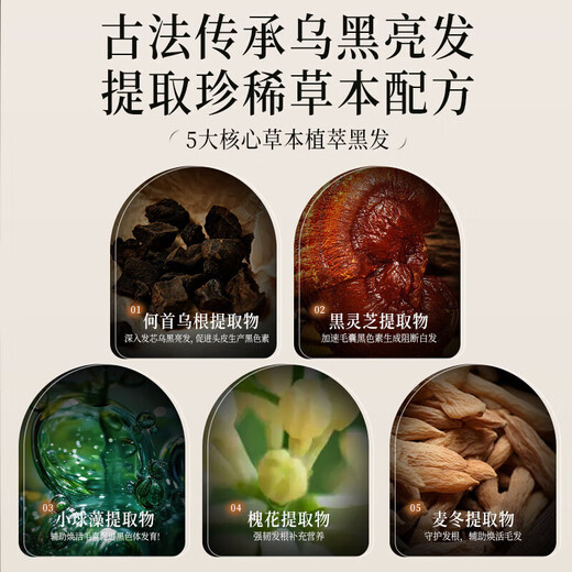 HIEUAILR Heshou Black Ganoderma Lucidum Shampoo Natural Black Hair Blossom and White Hair Turning Black to Treat Hair Roots and Prevent Loss