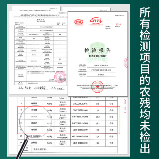 1392大罐320克鸭屎香春茶 凤凰单枞茶 天池茶业单丛茶