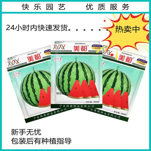 Chunzhiyun Meidu Watermelon Seeds with Thin Skin, Resistant to Cracks, Less Seeds, Super Sweet and Crisp 8424 Round Watermelon Meidu Watermelon Seeds Red Letter Meidu 400 capsules