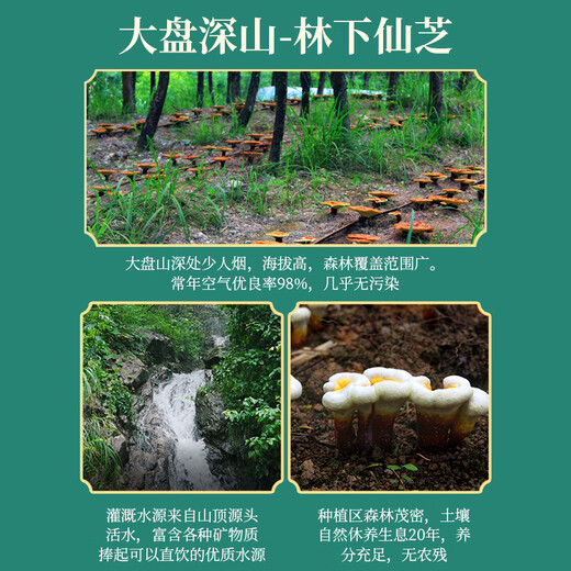 Jibaichuan Yangshenzhi Bio-Bruch Wand Ganoderma lucidum spore pulver oc