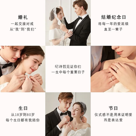 Ji Shizhe pt950 platinum platinum necklace female swan 2025 new clavicle chain Chinese Valentine's Day birthday gift for girlfriend noble platinum model-swan necklace