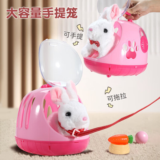 Condira Family Children's House Playing Bunny Doll Toys 3-6 Years Old Girl's Birthday Gift Simulation Animals