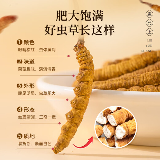 雷允上冬虫夏草礼盒3-5根/g 10g约32-50根滋补品端午送长辈滋礼物