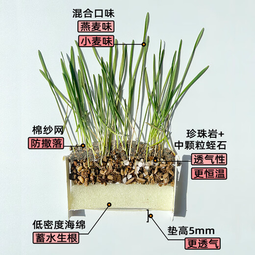 Greedy horse cat grass, lazy cat grass, ready-to-eat dehairing balls, cat snacks, hydroponic instant noodles, summer cat grass, winter style, Aoxue Lingshuang, combination 7 (single bowl), 1 pack