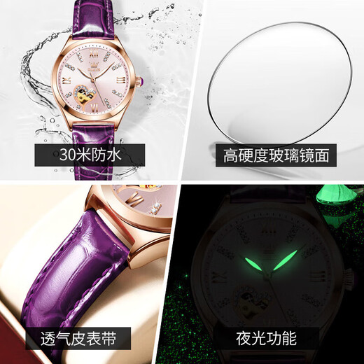 欧利时（OLEVS）瑞士认证十大品牌手表女全自动机械表简约气质女士手表送老婆礼物 【升级版】6636紫皮粉面