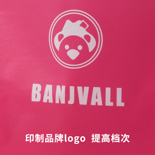 Benjwell baby clothes handbag 1 non-woven handbag 32*29*10cm