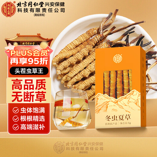 Usado en la cancha interior [Beijing Tongrentang First Golden Grass] Cordyceps sinensis 1G aproximadamente 3-5 pasto nutritivo empapado en vino y regalos