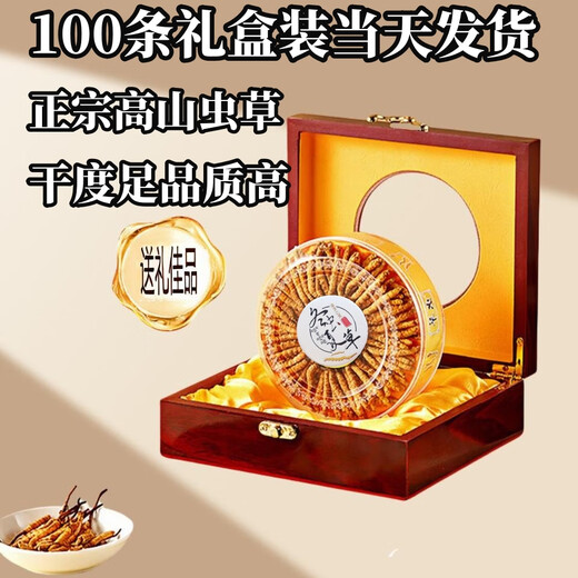 西那藏曲冬虫夏草精选虫草足干虫草高海拔头期冬虫夏草礼盒可选 那曲虫草3根1克100条-送10条