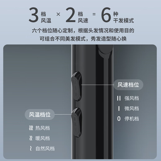 Yongri (yongri) household hair dryer 2100W professional high-power floral dormitory family high wind constant temperature hair dryer national subsidy Mother's Day gift