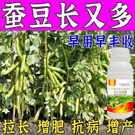 Special foliar fertilizer for broad beans to plump broad beans, keep flowers and pods straight and increase production, 100ml*5 bottles