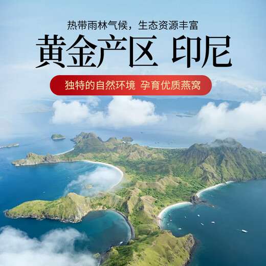 燕天使 YAN ANGEL燕窝干盏印尼马来溯源天然干燕窝孕妇燕窝正品日常送礼礼盒装 9A溯源密盏50克（赠豪华礼包）