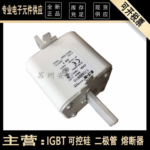 /6811/6812/16813/6814全新伊顿熔断器保险熔芯 170M6810