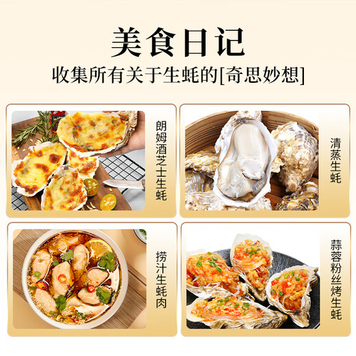 Lighthouse Jellyfish Fresh Rushan Oyster No. 6XL Net weight 5 Jin Jin equals 0.5 kg Straight from the source