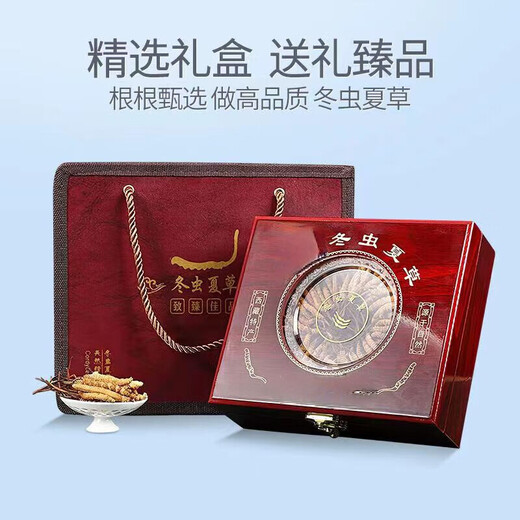 Wazang genuino Cordyceps Cordyceps Box en futuros de cabeza Cordyceps Cordyceps Cordyceps Altitud 5 raíces/g 1 gramo