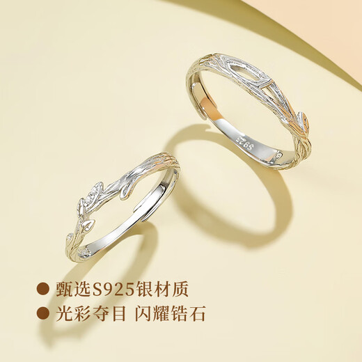 ALLOVE Lian Lizhi Couple Ring Men's and Women's Sterling Silver Proposal Ring Birthday Gift for Girlfriend and Wife Practical Wedding Gift