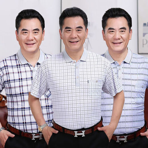 Dan Pretty Summer Middle-aged and Elderly Men's Short-sleeved T-shirt Summer 40-50 Middle-aged Men's Half-sleeved Top Daddy's T-shirt 1504 Gray Style L (50 size) Recommended 90-120Jin [Jin equals 0.5 kg]