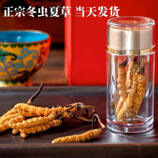 Аутентичные Cordyceps Sinensis Первый период выбрали питательные сухие товары Два грамма подарочных коробки для подарков и питательных тоников Cordyceps, подлинные Cordyceps sinensis в тибетских районах, 50 грамм