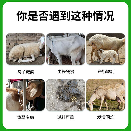 Yingmeier Yingmeier ewe premix fattening sheep breeding pregnancy mixed feed breeding ewe pregnancy lactation special feed ewe premix 20kg*1 bag