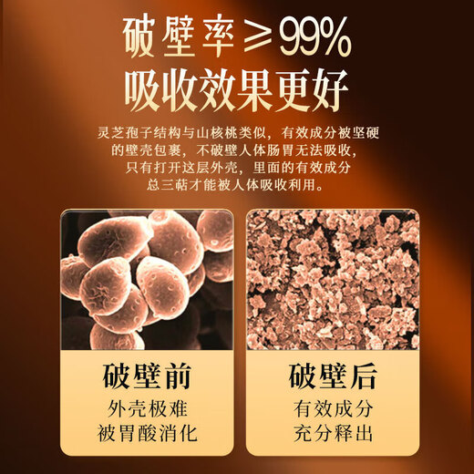 
Beijing Tongrentang Breaking Wall Ganoderma lucidum spore powder gift box for elders and middle-aged and elderly people to enhance immunity New Year gift 90g/box [Black Gold Gift Box] Breaking Wall spore powder