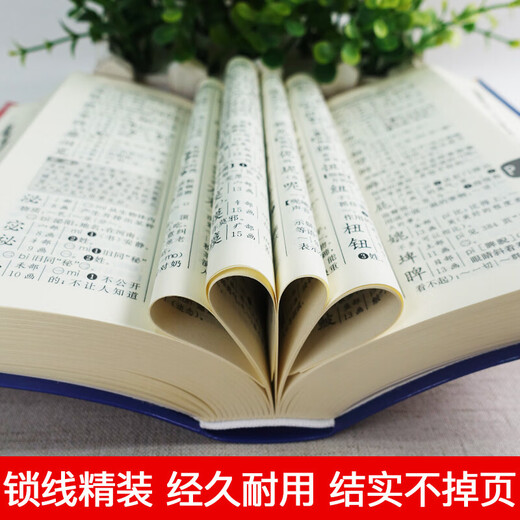新华正版 新编学生字典 第二版 双色本大字本 人民教育出版社人教版双色本 新华字典小学生专用一年级便携词语字典新版正版1-6年级工具书词典小本 新编学生字典（第2版）