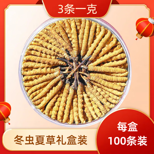 
Xina Tibet Qu high-altitude Cordyceps gift box 100 large cordyceps nourishing gift gifts for elders and parents Tibet Naqu Qu 2 1 gram 100 gift box