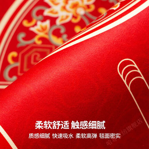 哈尊高档硅藻泥吸水地垫入户门金黄色新款进门口玄关速干脚垫耐脏可裁 福气金-ND-12138 50*80cm[升级硅藻泥]