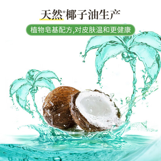 Long-established domestic product, Chuan brand laundry detergent, mildew spots, natural soap powder, deep decontamination, color bleaching, household fragrance, 728g*2 bags