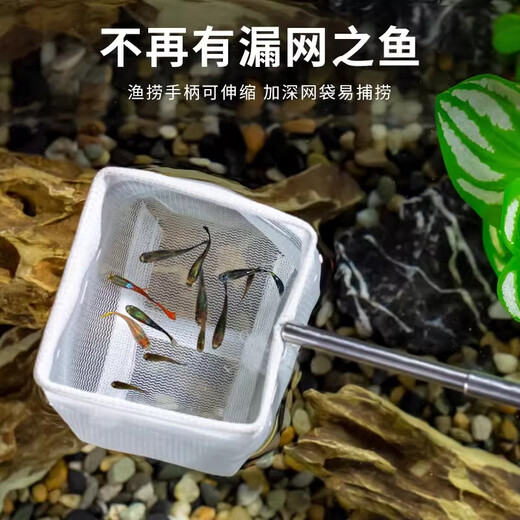 Pet Neighbor Stainless Steel Telescopic Handmade Fishing Net Small Ornamental Fish Guppy Betta Fish Tank 3D Fish Fishing Pocket Fishing Large