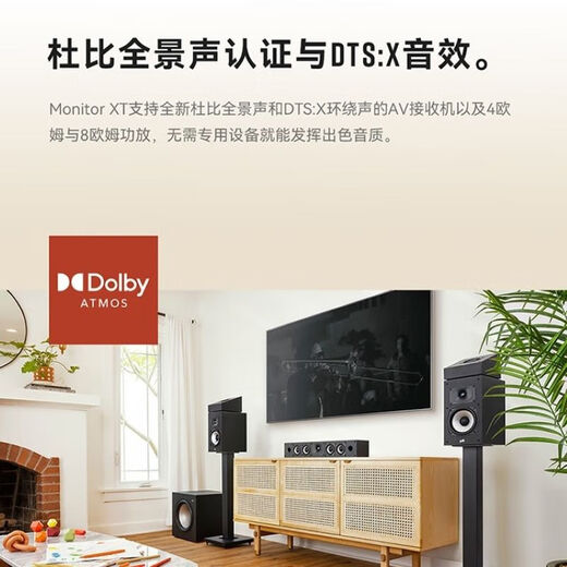 Polk (Polk) [Subvention nationale] MXT20 + Tianlong X1700 Amplificateur audio de base