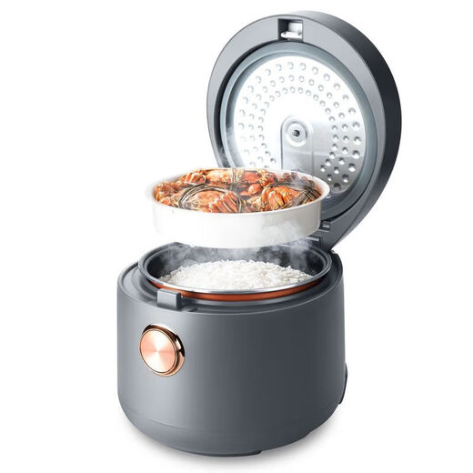 Westinghouse WRC-A825 Dunkelgrauer Reiskocher Dunkelgrau 5L