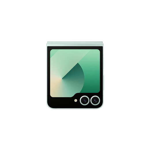 三星（SAMSUNG）Galaxy Z Flip6   【国家补贴15%】  AI手机 5000万像素 智能外屏 双卡 折叠屏手机 青薄荷 12GB+256GB 官方标配