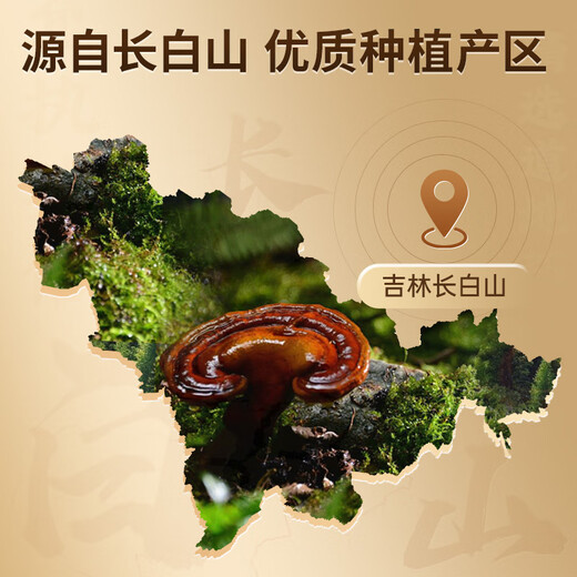 Lei Yunshang Offizielles gebrochenes Ganoderma-Sporenpulver Changbai Mountain Red Ganoderma-Essenz stärkt das Immunsystem Gesundheitsfürsorge-Ernährungsprodukte 1-Monats-Packung Ganoderma-Sporenpulver 60 g * 1 Box