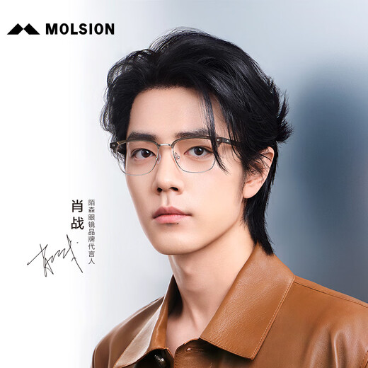 MOLSION glasses Xiao Zhan's same eyebrow line half-frame myopia frame MJ6195