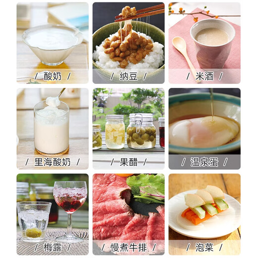 优束家用酸奶机小型全自动多功能爱丽丝米酒纳豆发酵机酵素希腊D 016升级款