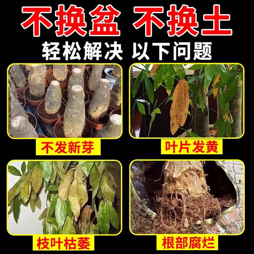 Aishangke plant regenerator universal concentrated nutrient solution powerful germination, rooting and seedling resurrection liquid dead tree flower universal type 18g 6 bottles in a box