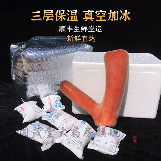 鲜梅花鹿茸 整枝可切片 2024新割头茬含血二杠 泡酒煲汤炖菜均可 【优质鲜鹿茸695克一支】