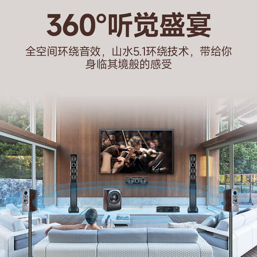山水（SANSUI） F8 5.1无线家庭影院 木质家庭KTV音响套装 卡拉OK 落地式家居音响 5.1专享版【标配功放20A】